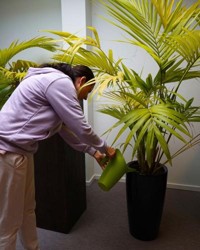 ondersteuning en hulp verhuizing en huisvesting